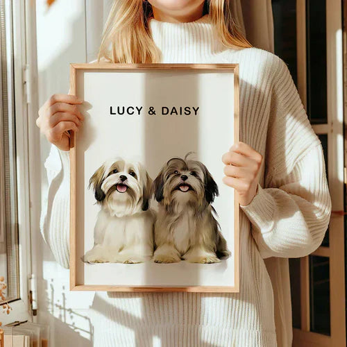 Pet Portraits
