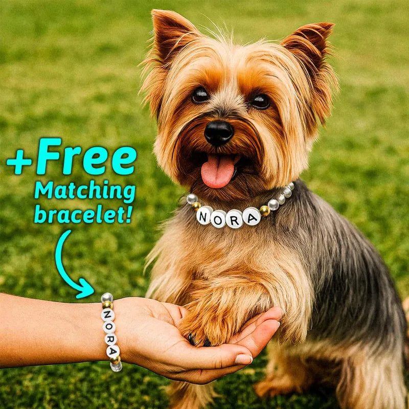 Personalized Pet Name Necklace – Comes with a Free Matching Bracelet