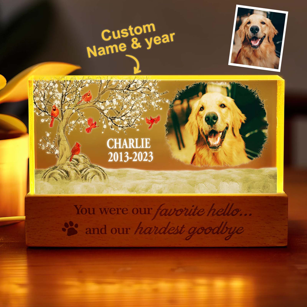 Personalized Pet Photo Night Light Custom Photo Light Memorial Gift for Pet Lover